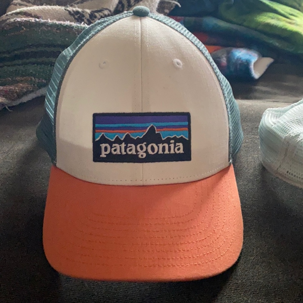 Patagonia Trucker Hat